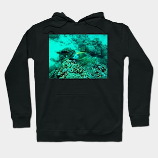 coral reef with fish Hoodie